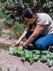 Woman Working in a Vegetable Garden with Fresh Produce