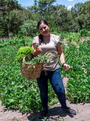 Woman Working in a Vegetable Garden with Fresh Produce