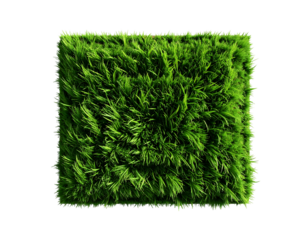 Close-up view of a rectangular patch of vibrant green grass