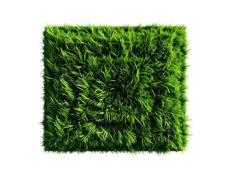 Close-up view of a rectangular patch of vibrant green grass