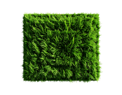 Close-up view of a rectangular patch of vibrant green grass