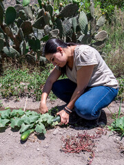 Woman Working in a Vegetable Garden with Fresh Produce