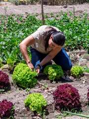 Woman Working in a Vegetable Garden with Fresh Produce