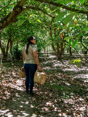 Woman Working in a Vegetable Garden with Fresh Produce