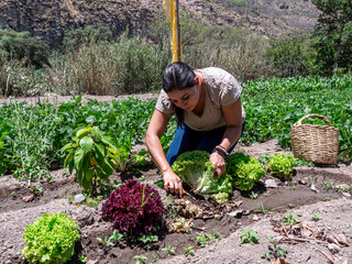 Woman Working in a Vegetable Garden with Fresh Produce