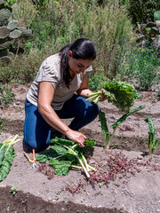 Woman Working in a Vegetable Garden with Fresh Produce