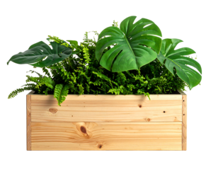 Wooden planter box filled with lush green foliage