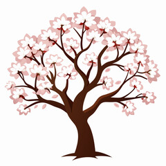 cherry blossom tree