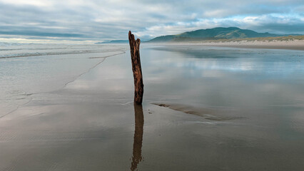 View northward along a beach towards a distant ridge covered in a dark pine forest, with the cloudy and  mysterious sky reflected on the wet sand. A single upright piece of driftwood in the foreground