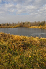 A Cloudy, Cool Autumn Day at Pylypow Wetlands