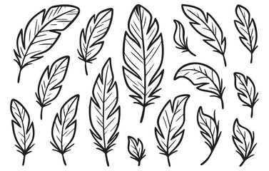 Feather Doodle Collection with Hand Drawn Decorative Bird Feathers Isolated on Transparent Background, Generative AI