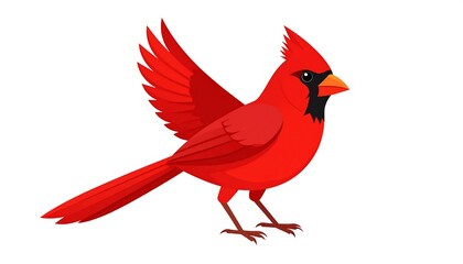 Fototapeta premium Cartoon cardinal in flight