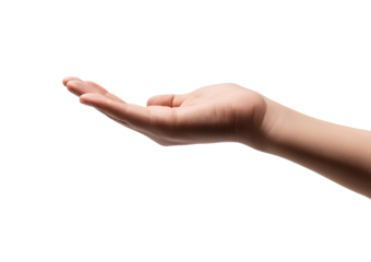 hand reaching out Isolated on Transparent or White Background