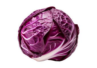 Obraz premium Cabbage Isolated on transparent or white background