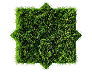 Overhead view of a square patch of vibrant green grass