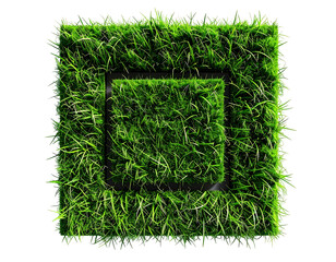 Square of vibrant green grass surrounds a dark, empty square