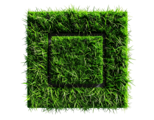Square of vibrant green grass surrounds a dark, empty square