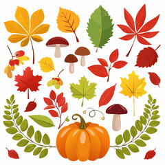 Fototapeta premium Autumn Harvest Colorful Leaves, Pumpkins, and Mushrooms
