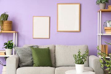 Interior of living room with grey sofa, blank frames and green plants
