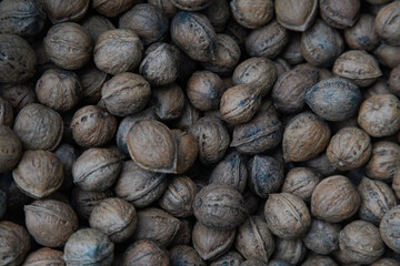 	たくさんのクルミ