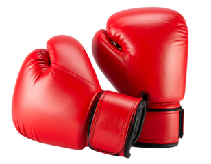 Pair of red boxing gloves (1)