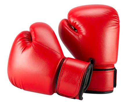 Pair of red boxing gloves (1)