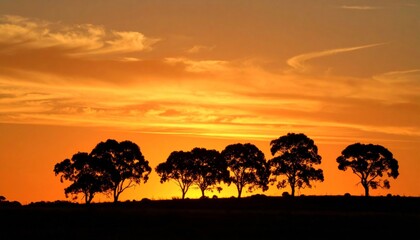 Fiery Orange Sky Silhouettes a Serene Line of Eucalyptus Trees