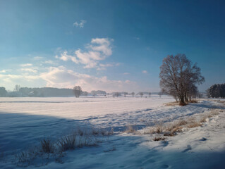 Snow-covered landscape under a bright blue sky with fluffy clouds, featuring a lone tree on the right side and a tranquil winter scene filled with white snow.