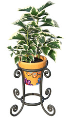 A simple potted plant on a transparent background.