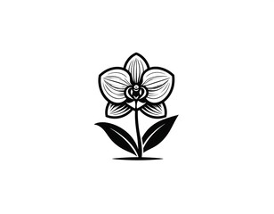 Elegant black and white orchid illustration (1)
