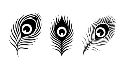 Three black silhouette peacock feathers with eye pattern on white background, vector illustration. © Anukul Debnath