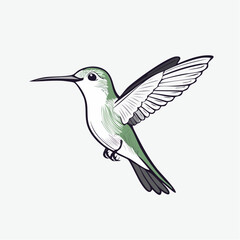 Obraz premium Serene Monochromatic Line Art Hummingbird Minimalist Vector Illustration
