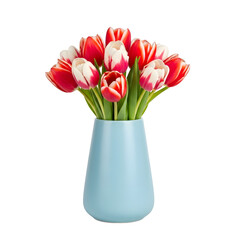 Fresh Red and White Tulips in Modern Blue Vase

