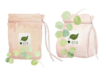 Tea bag with eucalyptus branches. Watercolor illustration on white. Minimalistic botanical design perfect for packaging, organic branding, natural lifestyle concepts, eco-friendly product decor.