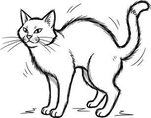 Obraz premium Sketch of an arched back cat with tail up and whiskers out on a white background in black and white style
