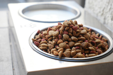 Dog food bowl filled with dry kibble at a feeding station