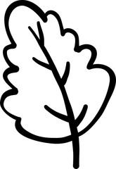 Oak Leaf Autumn Cartoon Hand Draw Outline Black and white