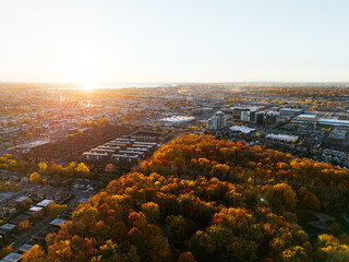 Aerial view of Montreals Angrignon park and urban forest at sunset near cityscape. g.