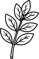 Vector hand drawn branch with leaves botanical silhouette design