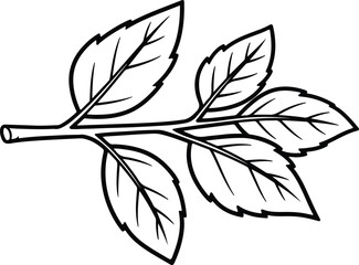 Vector Leaves branch simple botanical line art silhouette design
