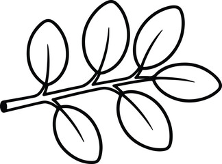 Vector moringa leaf branch outline black and white silhouette design