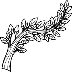 Vector olive branch with leaves natural botanical silhouette design