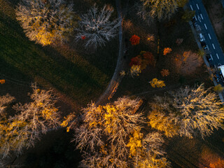 Aerial view of Montreals Angrignon park and urban forest at sunset near cityscape. g.