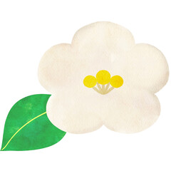 水彩風に描いた椿の花のイラスト