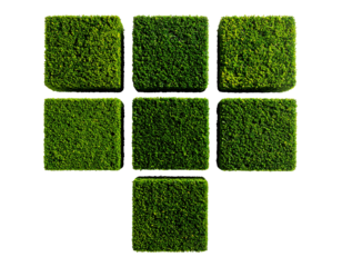 Green moss-covered squares arranged in a stylized T shape