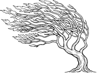 Windswept Tree, Line Art Illustration, Nature Drawing