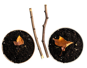 Two small pots of dark soil with twigs and autumn leaves