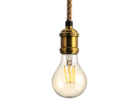 Vintage-style Edison bulb pendant light
