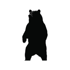 silhouette of bear