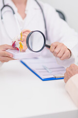 Elderly Patient consulting Doctor to Ear disease. Senior Health Medical Diagnosis. Anatomy Ear model for Atresia, Otitis Media, Pertorated Eardrum, Meniere syndrome, otolaryngologist, Hearing Loss